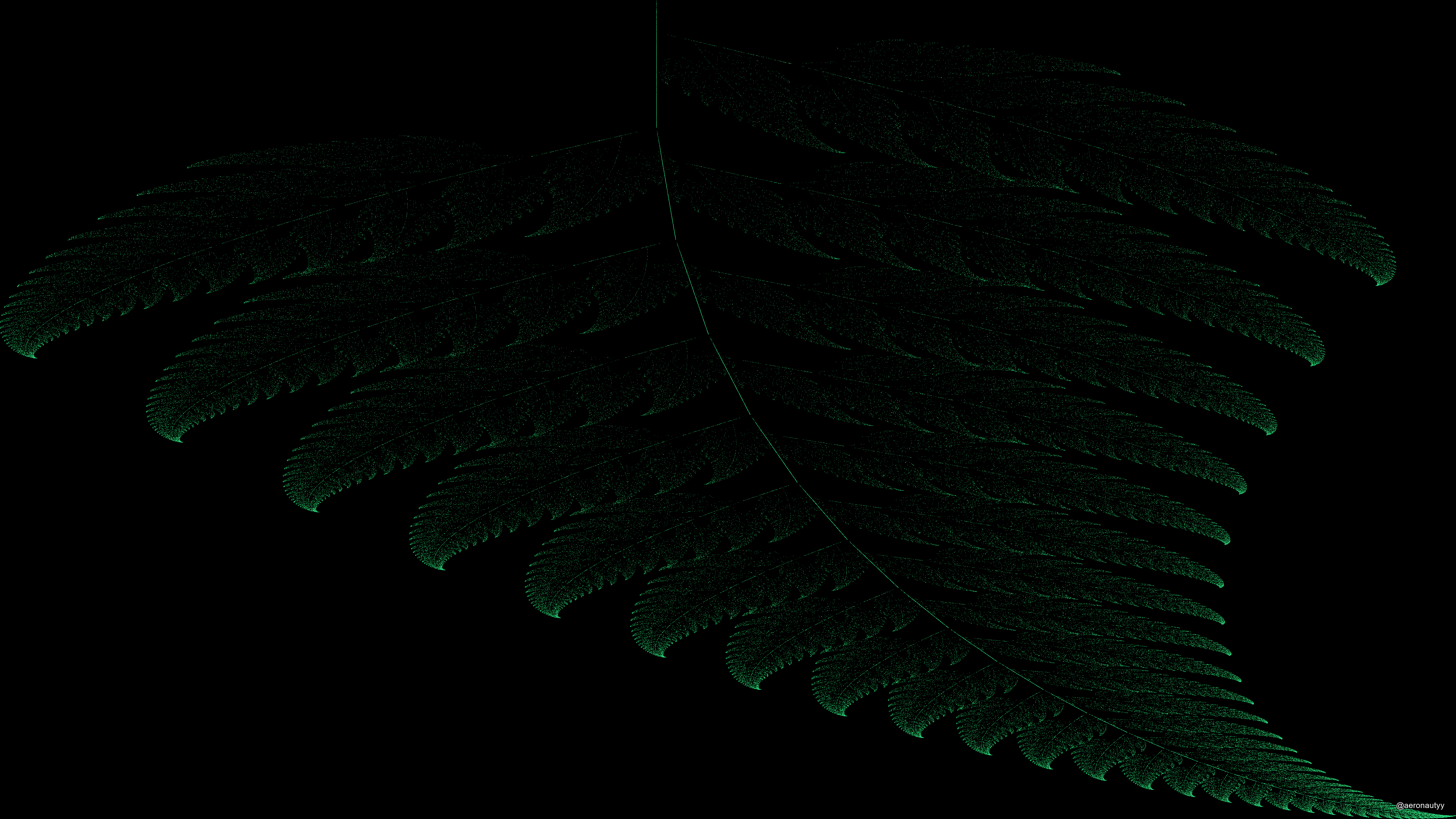 Barnsley Fern